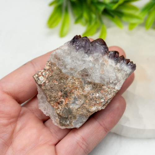 Auralite 23 #7