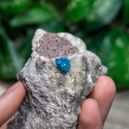 Cavansite #2