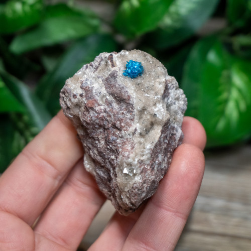 Cavansite #1