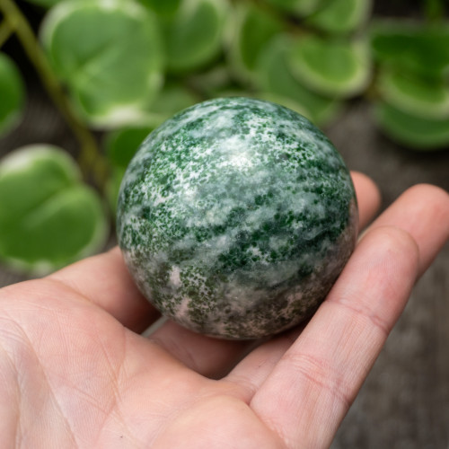 Tree Agate Sphere #3