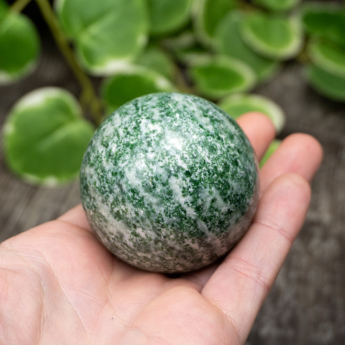 Tree Agate Sphere #2