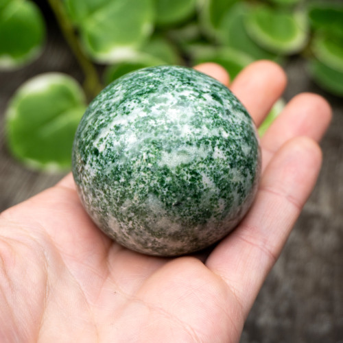 Tree Agate Sphere #2