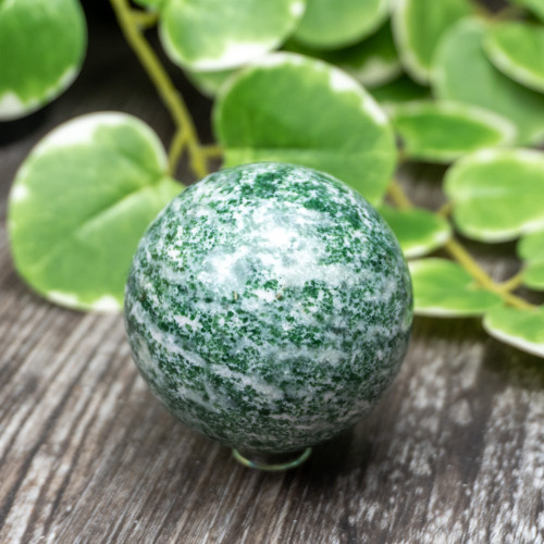 Tree Agate Sphere #2