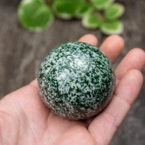 Tree Agate Sphere #1