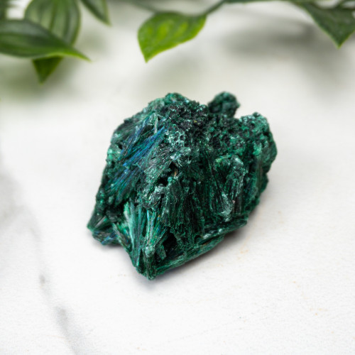 A+ Congo Malachite #7