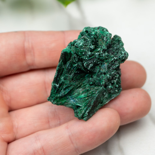 A+ Congo Malachite #7