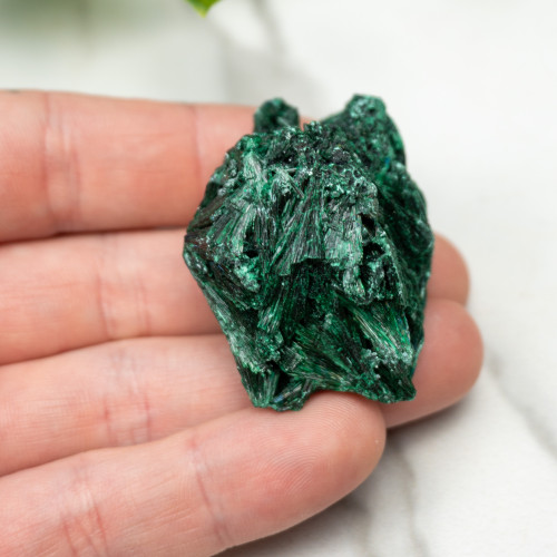 A+ Congo Malachite #7