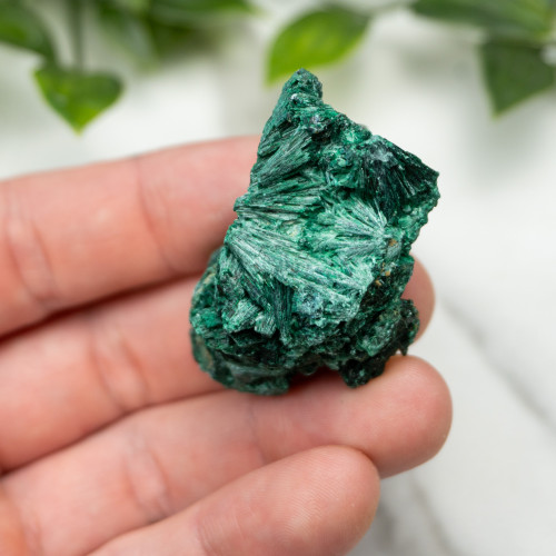 A+ Congo Malachite #6