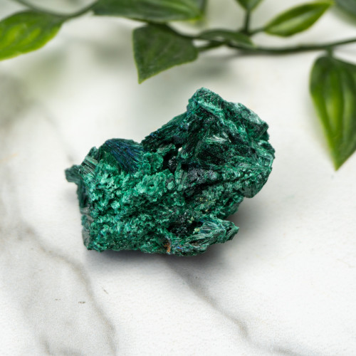 A+ Congo Malachite #6