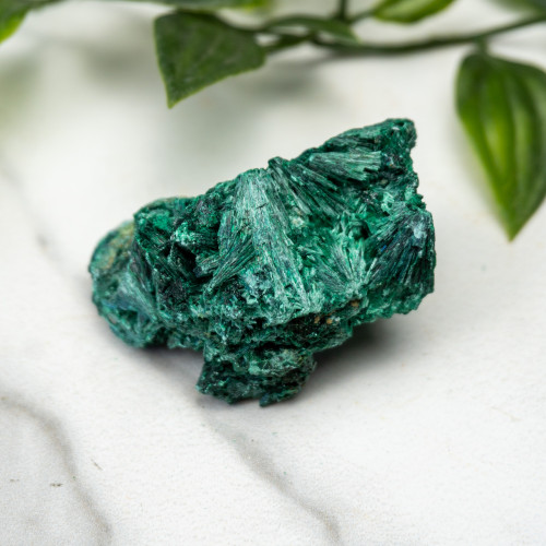 A+ Congo Malachite #6