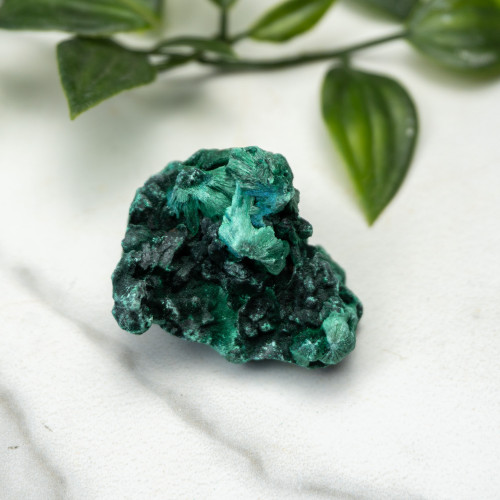 A+ Congo Malachite #5
