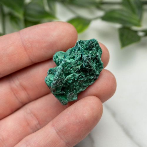 A+ Congo Malachite #4
