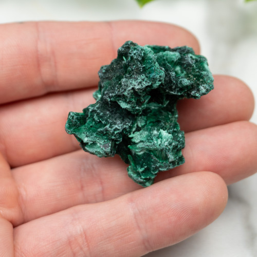 A+ Congo Malachite #3