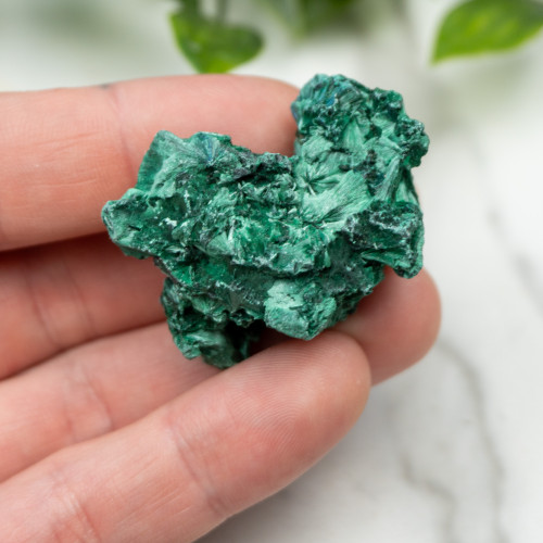 A+ Congo Malachite #3