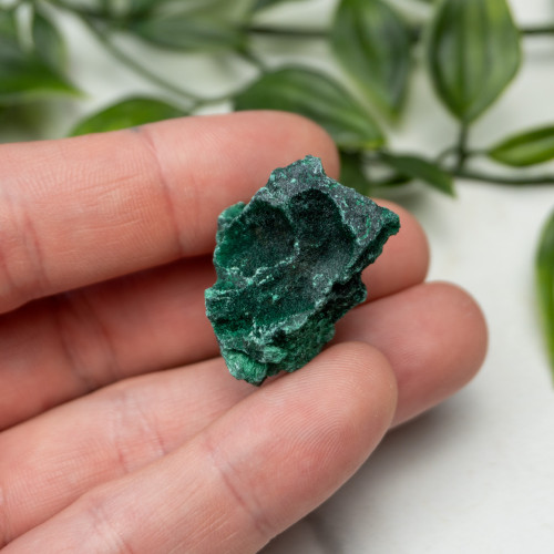 A+ Congo Malachite #2