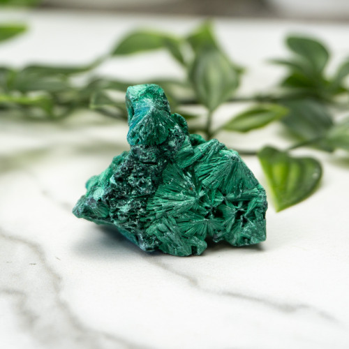 A+ Congo Malachite #1