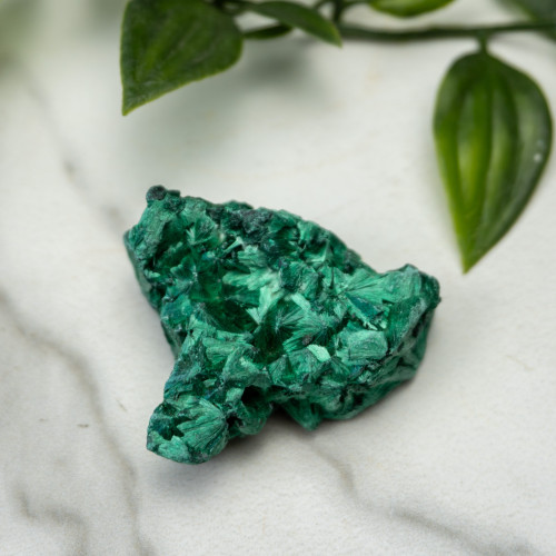 A+ Congo Malachite #1