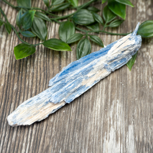 XL Blue Kyanite #7