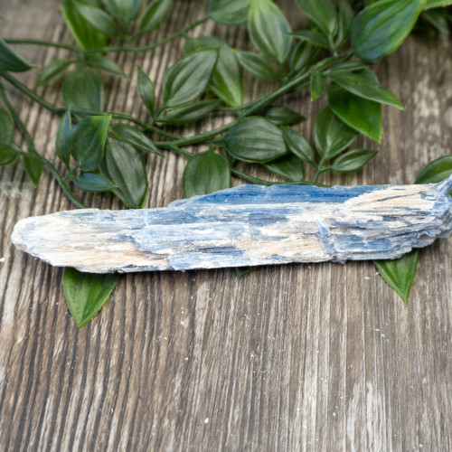 XL Blue Kyanite #7