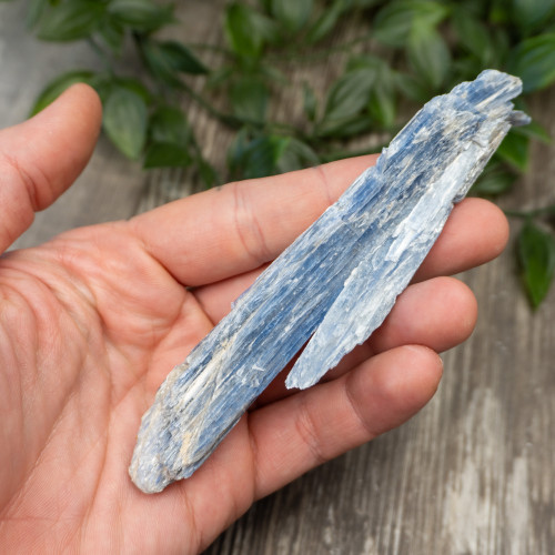 XL Blue Kyanite #7