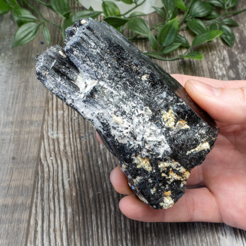 Black Tourmaline Crystallized with Hyalite Opal (Namibia) #10