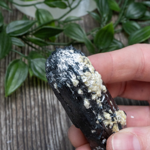 Black Tourmaline Crystallized with Hyalite Opal (Namibia) #7