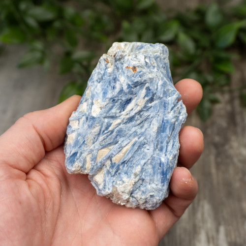 XL Blue Kyanite #6