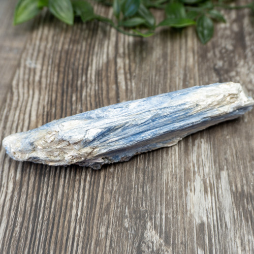 XL Blue Kyanite #5