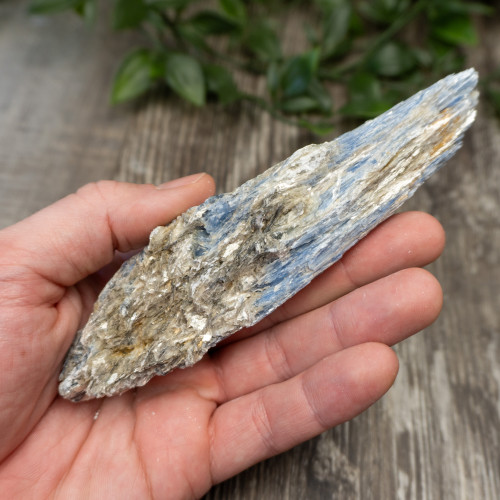 XL Blue Kyanite #5