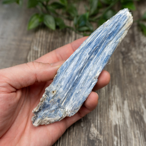 XL Blue Kyanite #5