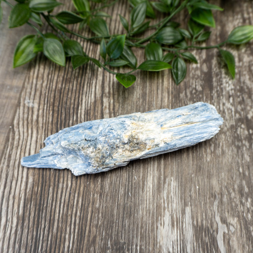 XL Blue Kyanite #3