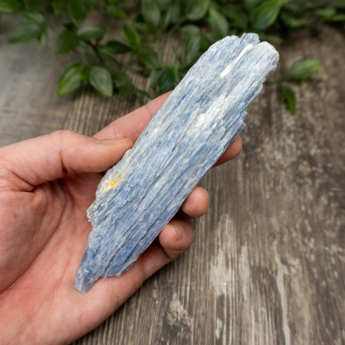 XL Blue Kyanite #3