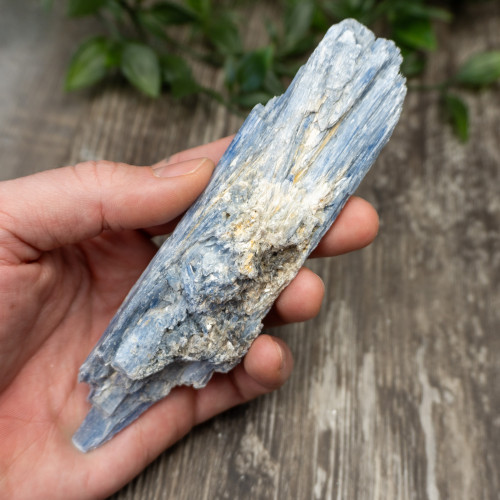 XL Blue Kyanite #3