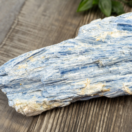 XL Blue Kyanite #2
