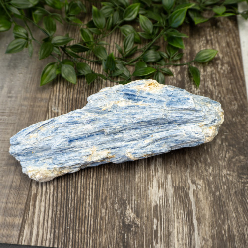 XL Blue Kyanite #2
