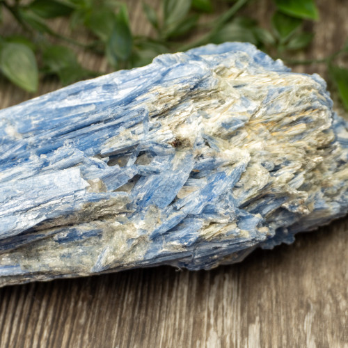 XL Blue Kyanite #1