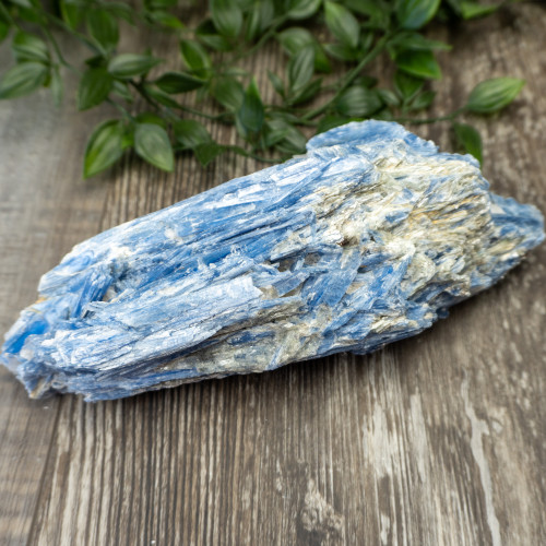 XL Blue Kyanite #1