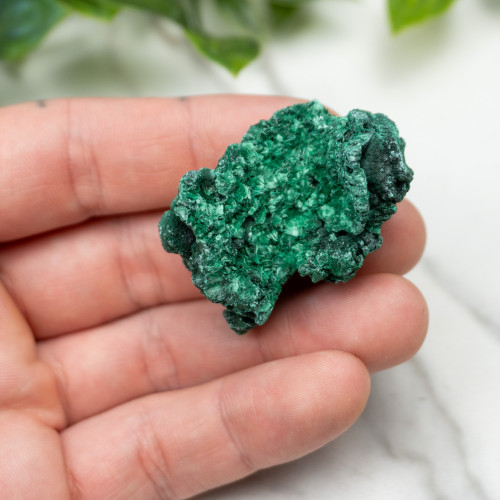 A+ Congo Malachite #11