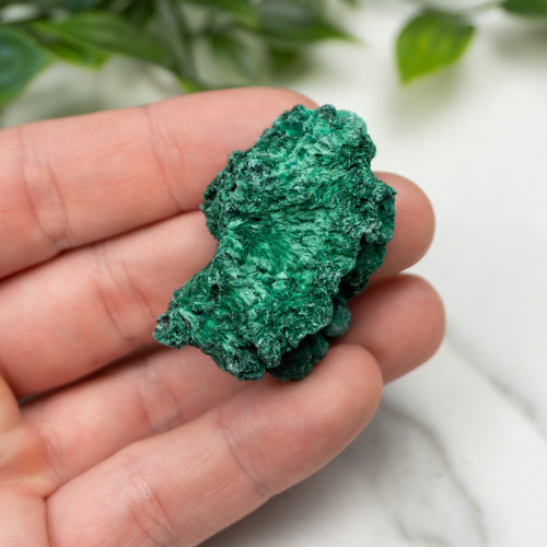 A+ Congo Malachite #11