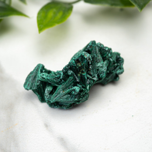A+ Congo Malachite #10