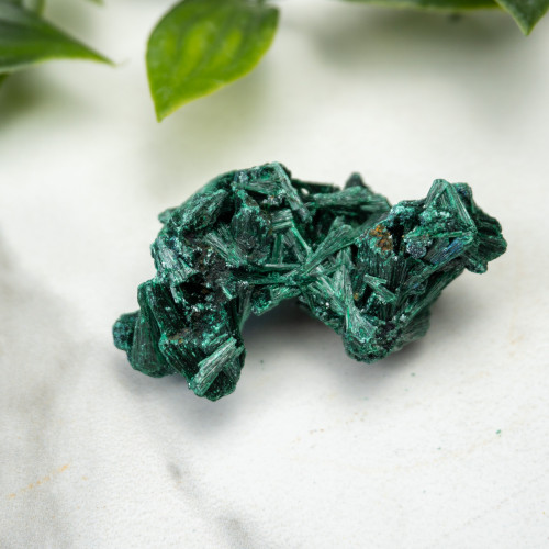 A+ Congo Malachite #10
