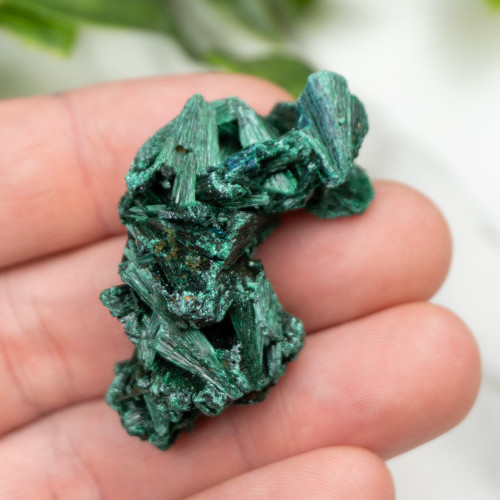A+ Congo Malachite #10