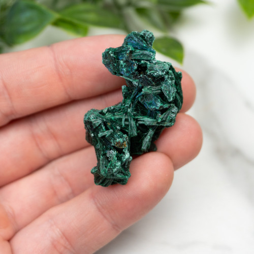 A+ Congo Malachite #10
