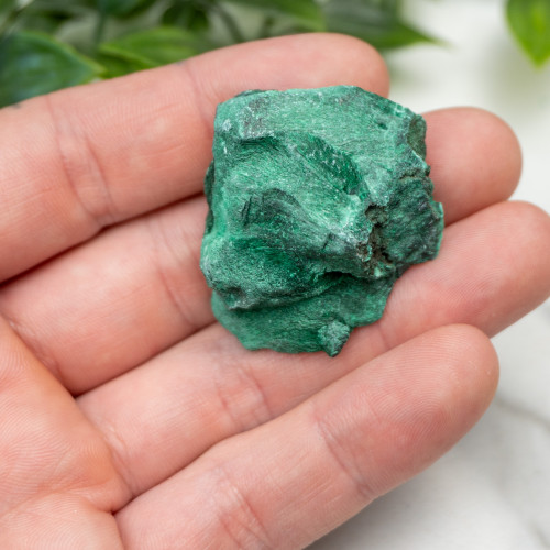 A+ Congo Malachite #9