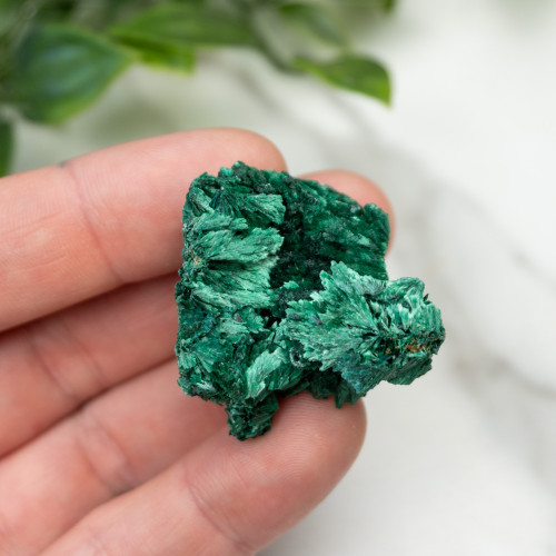 A+ Congo Malachite #8