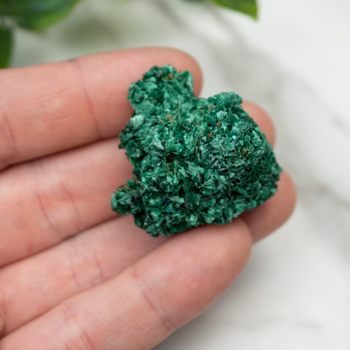 A+ Congo Malachite #8