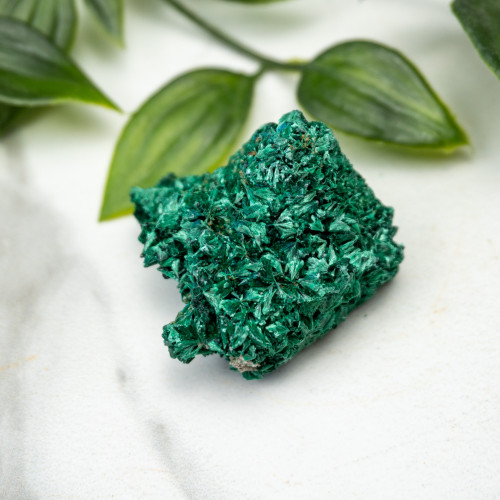 A+ Congo Malachite #8