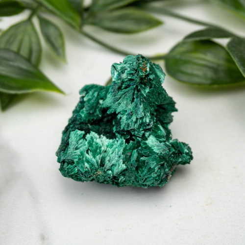 A+ Congo Malachite #8