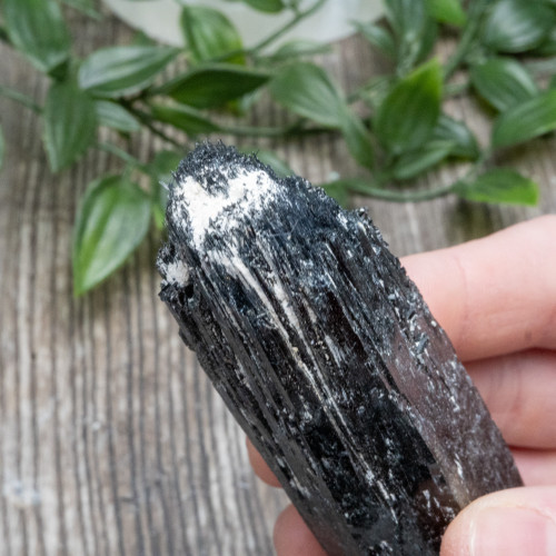 Black Tourmaline Crystallized with Hyalite Opal (Namibia) #8