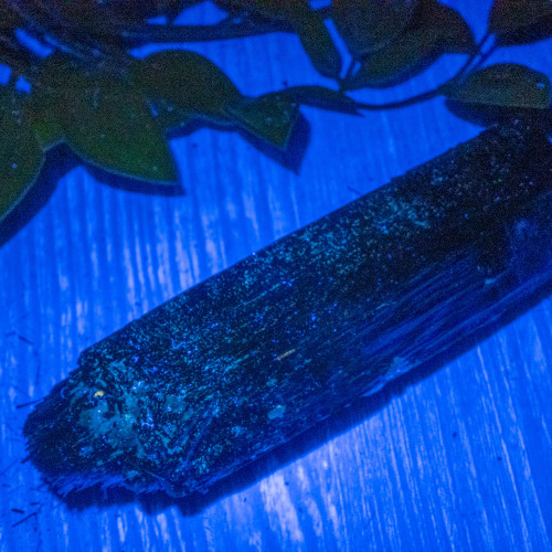 Black Tourmaline Crystallized with Hyalite Opal (Namibia) #8